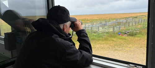 Flere får øjnene op for fuglekiggeri – og Naturens Rige er et oplagt sted at starte